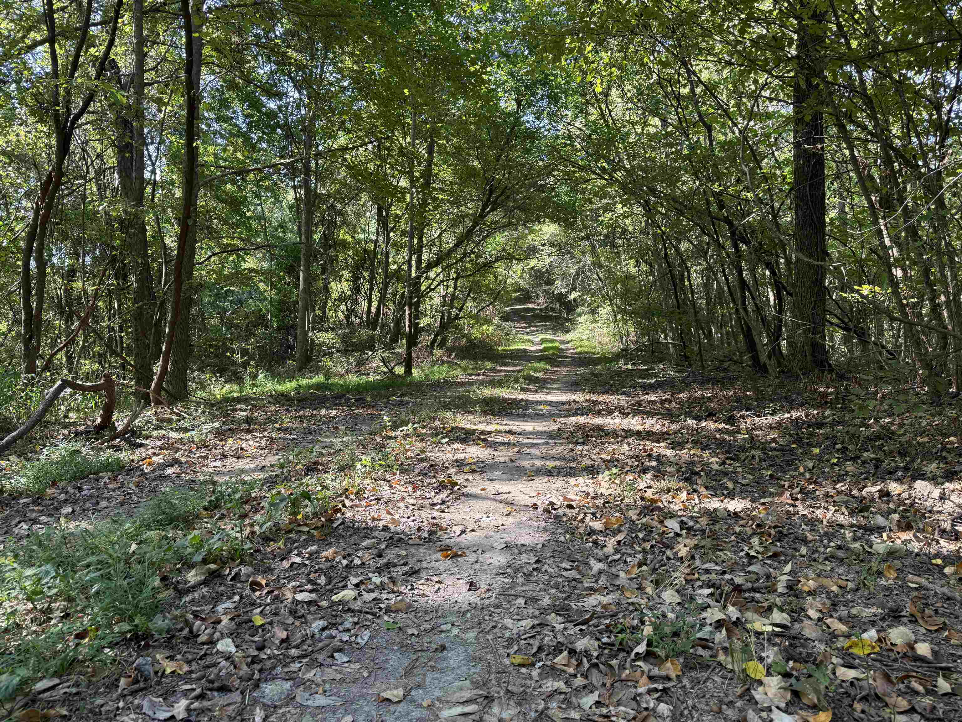 Photo 10 - Vacant Land for sale – 115A  Greasy Bottom Road   Melbourne, AR