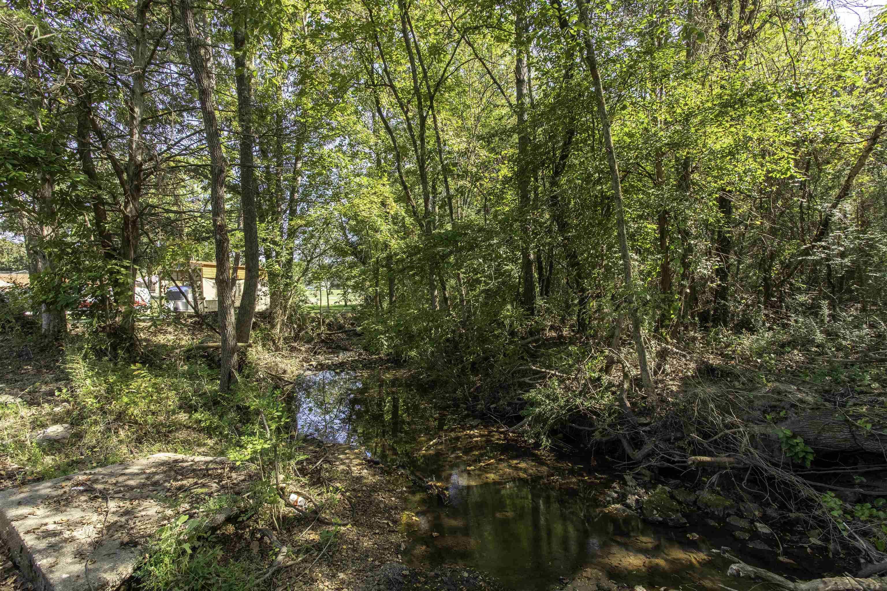 Photo 7 - Residential for sale – 215 W Main   Evening Shade, AR