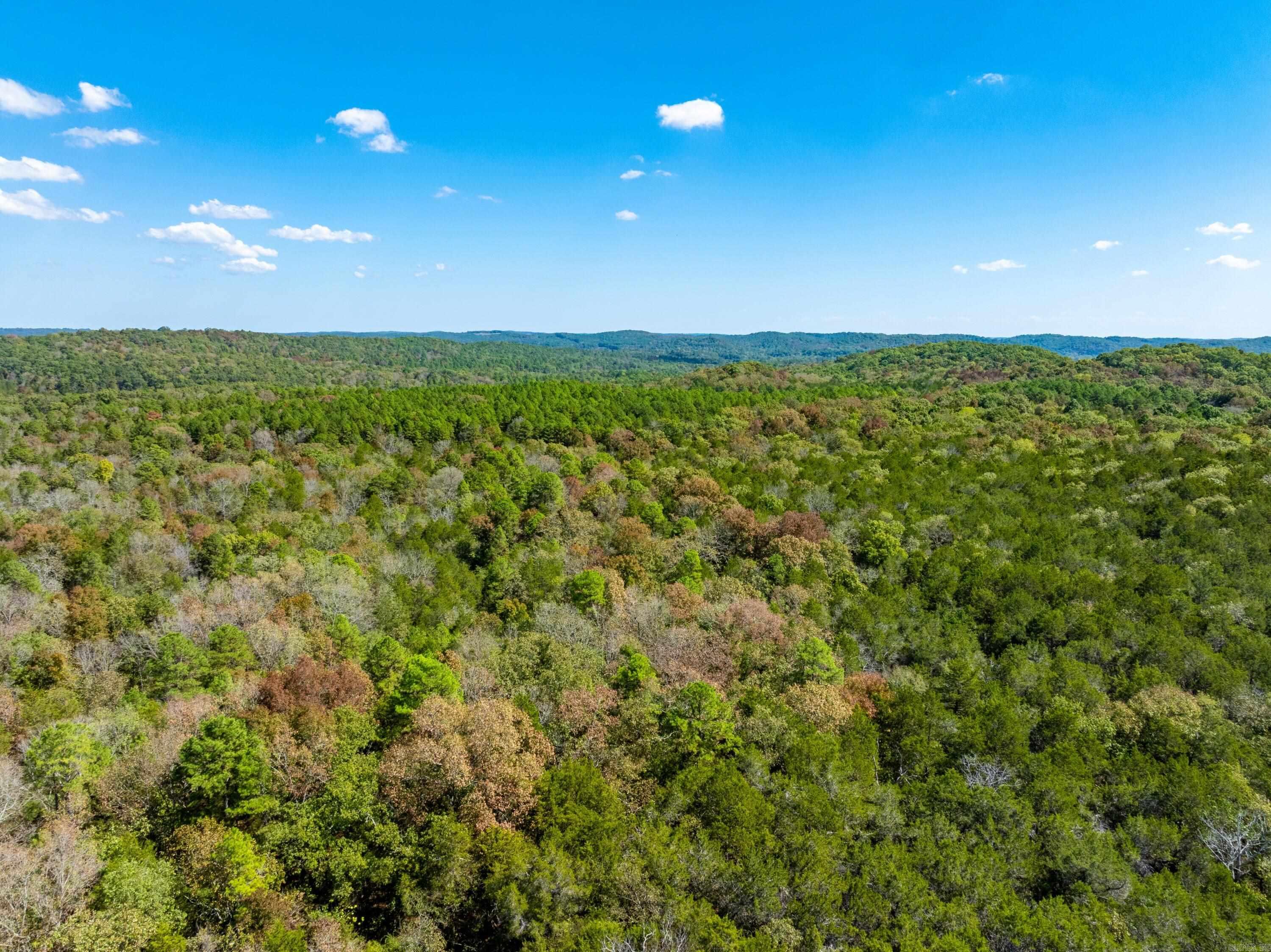 Photo 6 - Vacant Land for sale – 160  Pine Hill Road   Batesville, AR