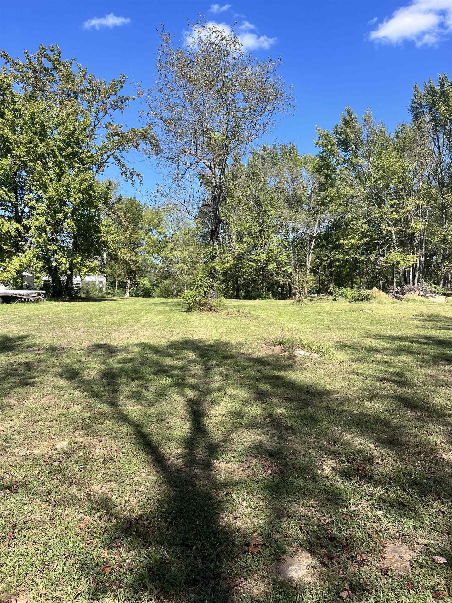 Photo 2 - Vacant Land for sale – 468  Park   Desha, AR