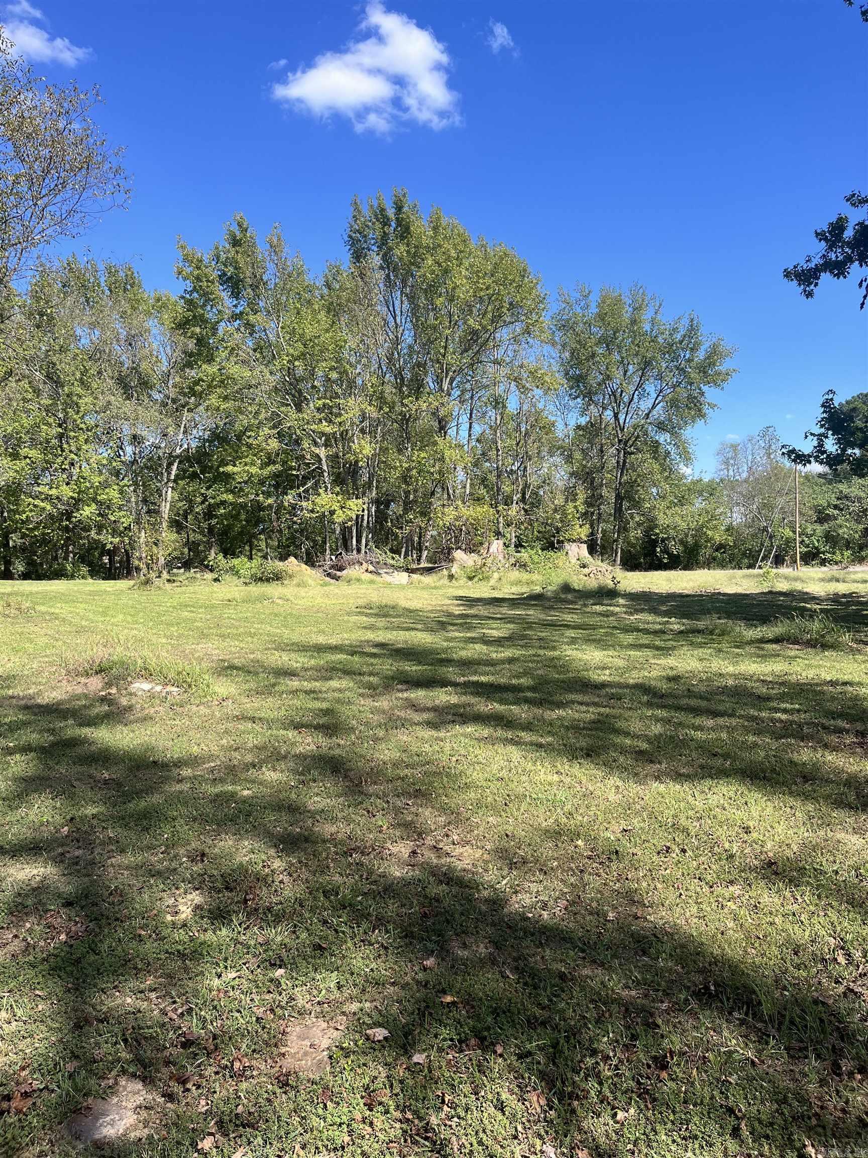 Photo 4 - Vacant Land for sale – 468  Park   Desha, AR