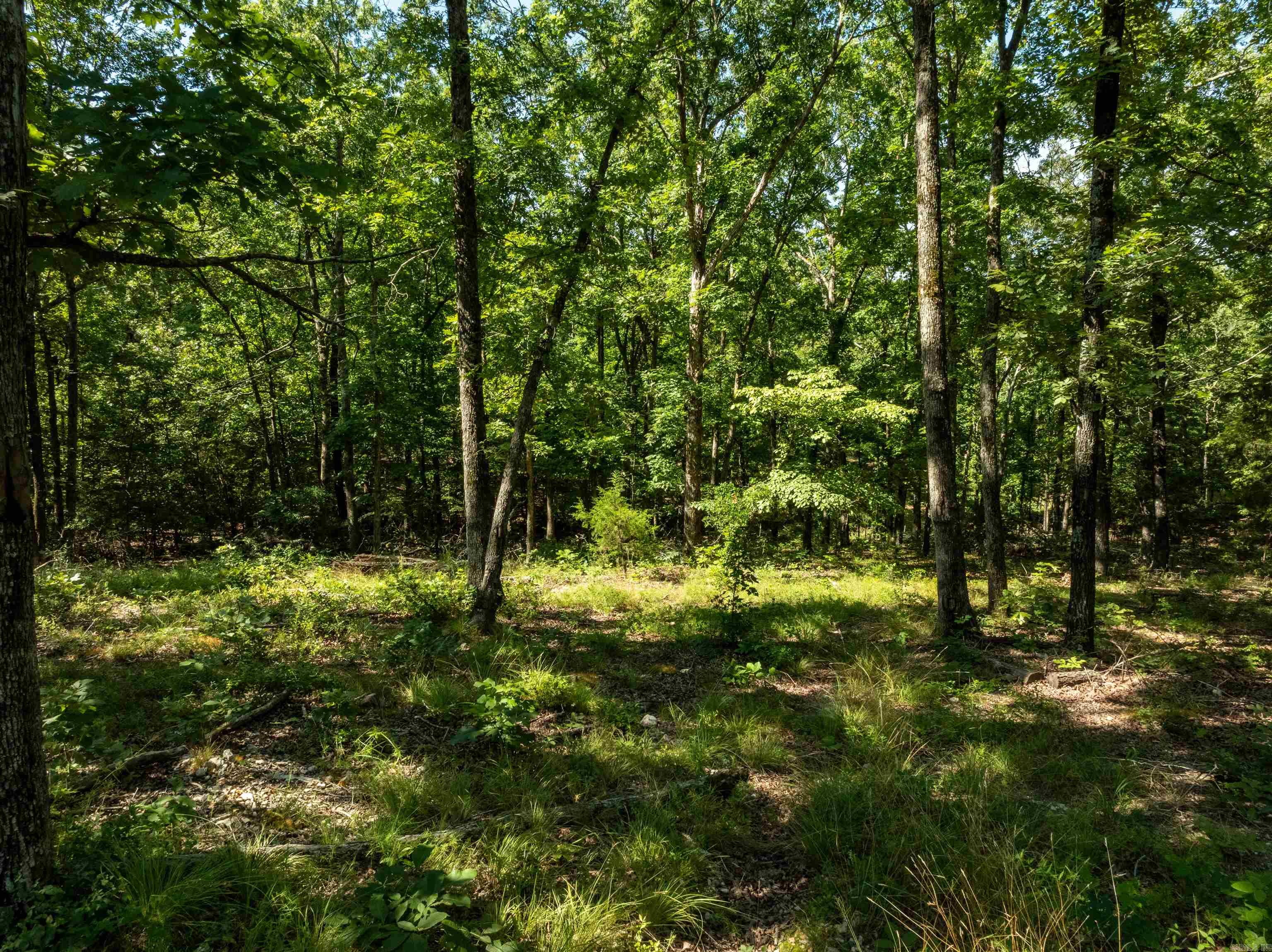 Photo 34 - Residential for sale – 306 N Rainey   Cave City, AR