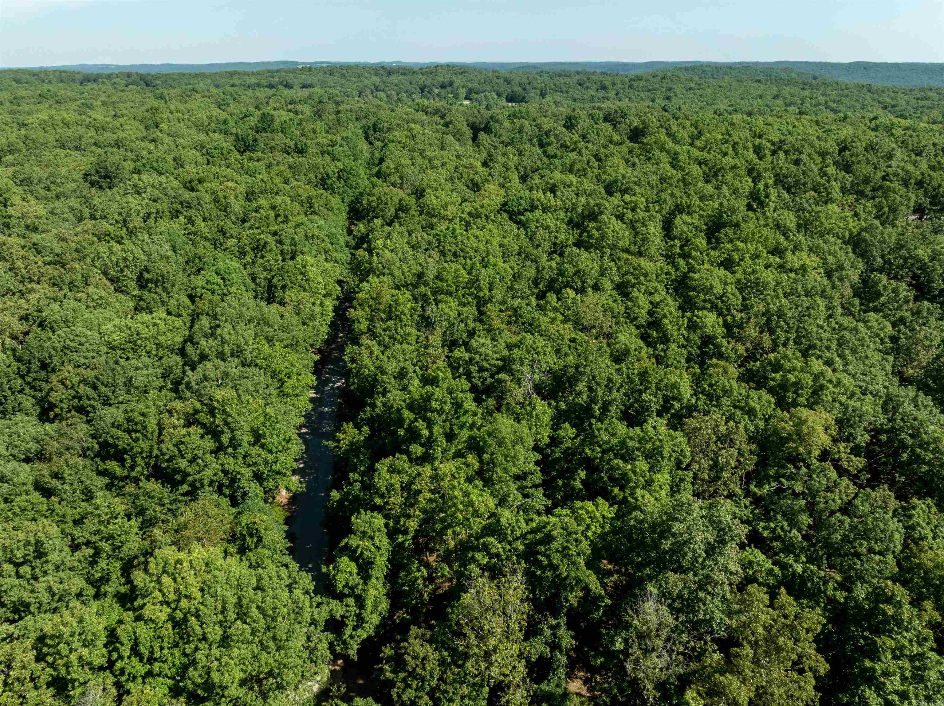 Photo 39 - Residential for sale – 306 N Rainey   Cave City, AR