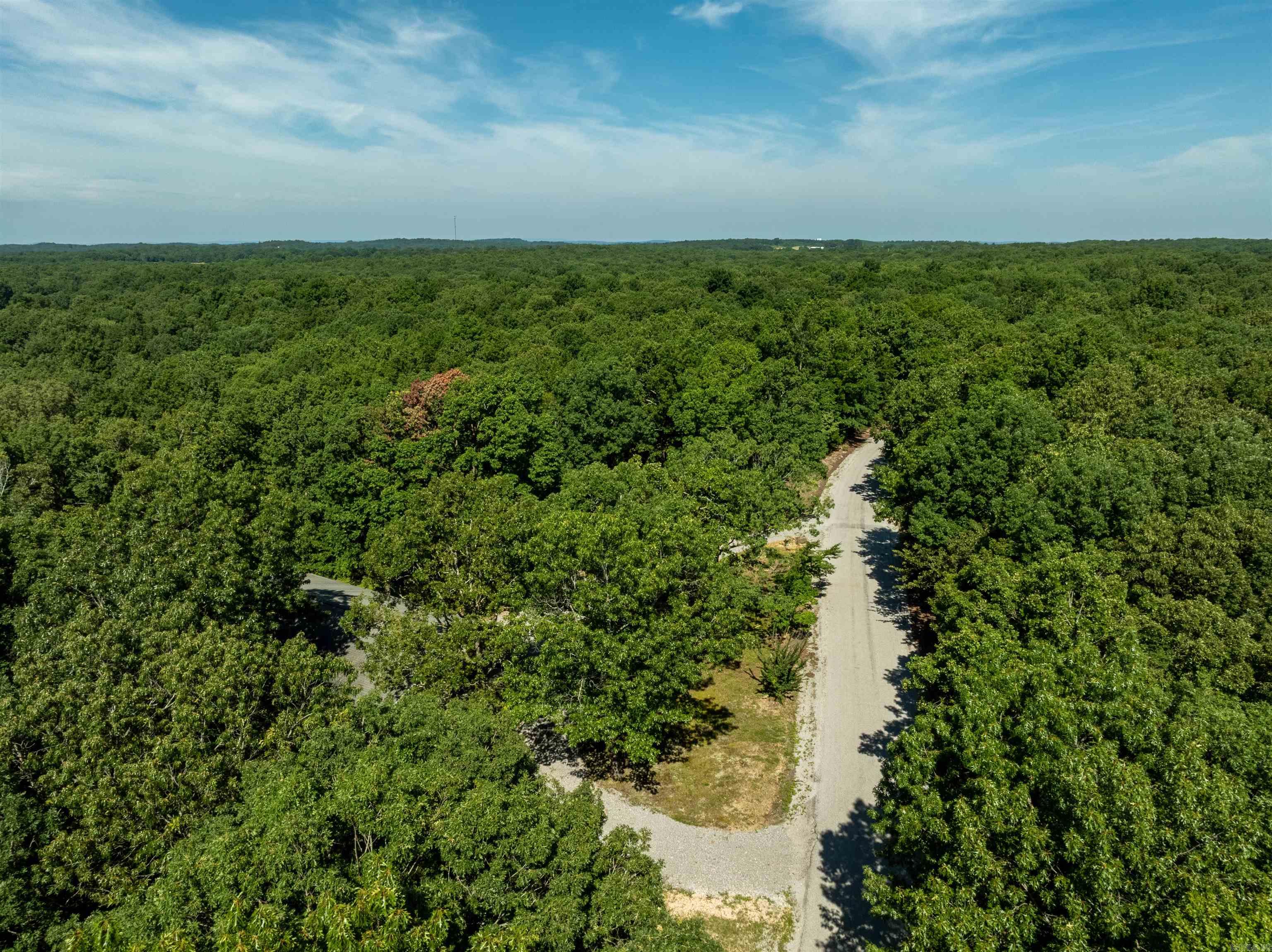 Photo 40 - Residential for sale – 306 N Rainey   Cave City, AR