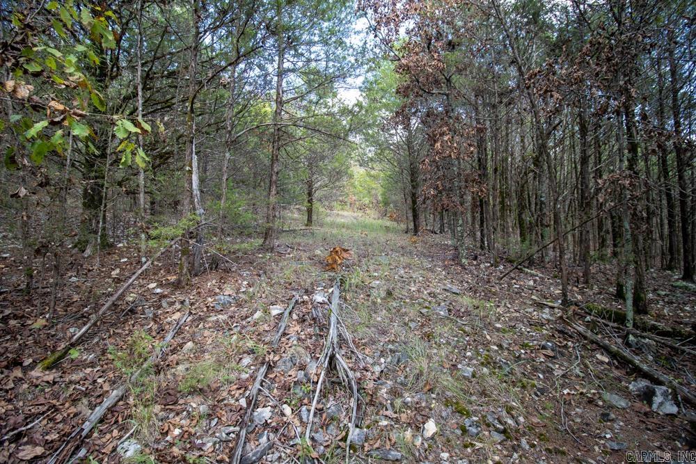 Vacant Land for sale – 0000  Needle's Eye Trail   Mammoth Spring, AR