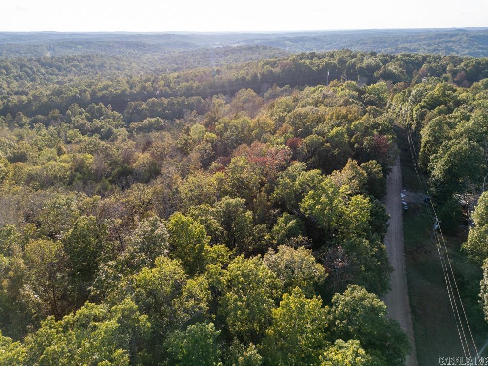 Photo 2 - Vacant Land for sale – 0000  Needle's Eye Trail   Mammoth Spring, AR