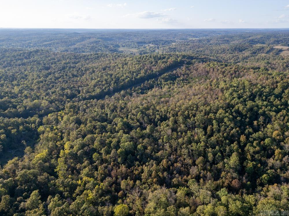 Photo 11 - Vacant Land for sale – 0000  Needle's Eye Trail   Mammoth Spring, AR