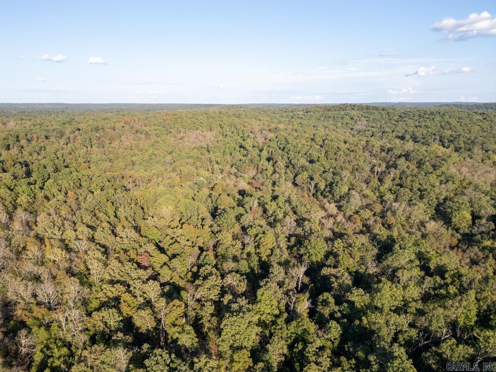 Photo 13 - Vacant Land for sale – 0000  Needle's Eye Trail   Mammoth Spring, AR