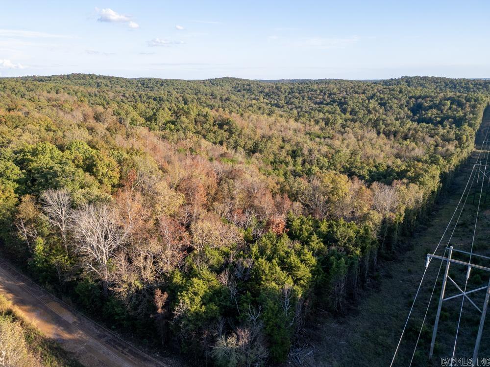 Photo 14 - Vacant Land for sale – 0000  Needle's Eye Trail   Mammoth Spring, AR