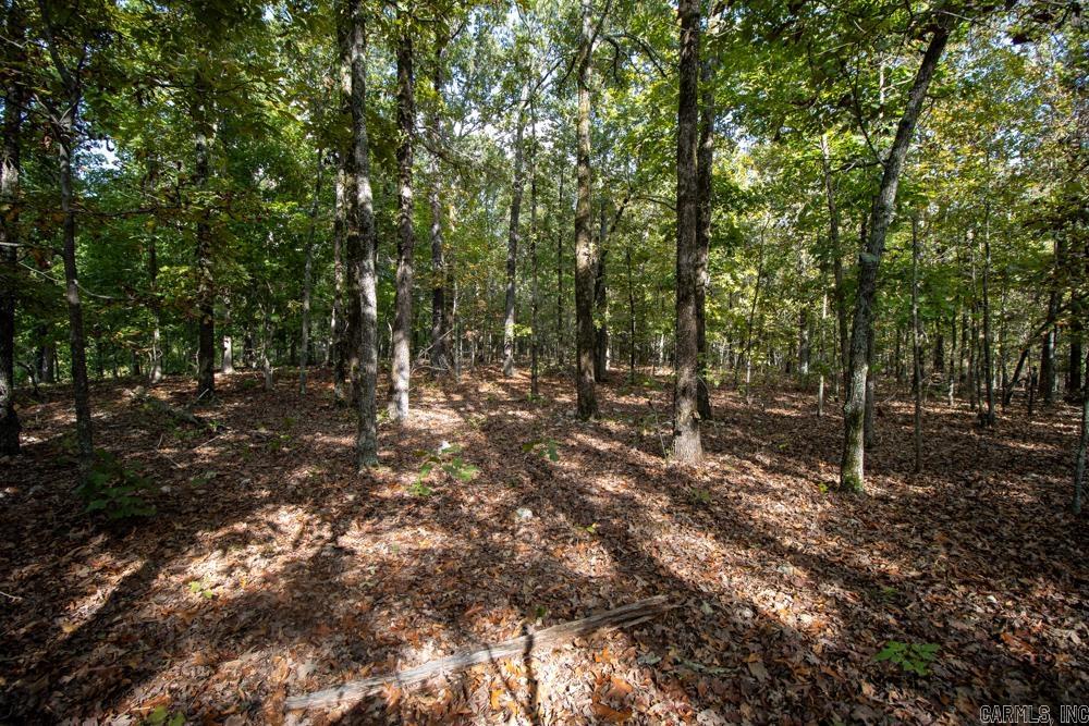Photo 15 - Vacant Land for sale – 0000  Needle's Eye Trail   Mammoth Spring, AR