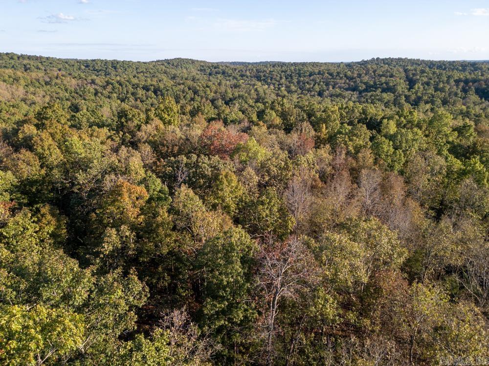 Photo 16 - Vacant Land for sale – 0000  Needle's Eye Trail   Mammoth Spring, AR