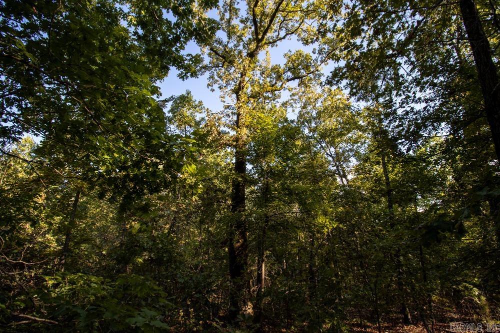 Photo 18 - Vacant Land for sale – 0000  Needle's Eye Trail   Mammoth Spring, AR