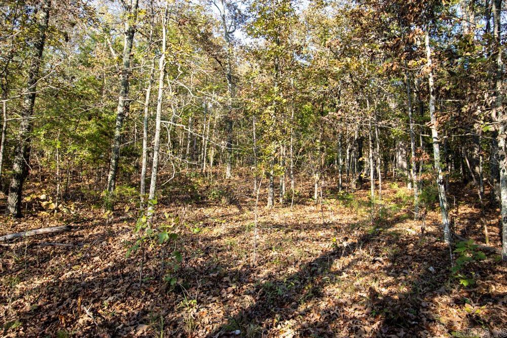 Photo 19 - Vacant Land for sale – 0000  Needle's Eye Trail   Mammoth Spring, AR