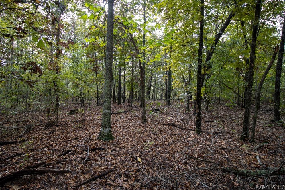 Photo 20 - Vacant Land for sale – 0000  Needle's Eye Trail   Mammoth Spring, AR