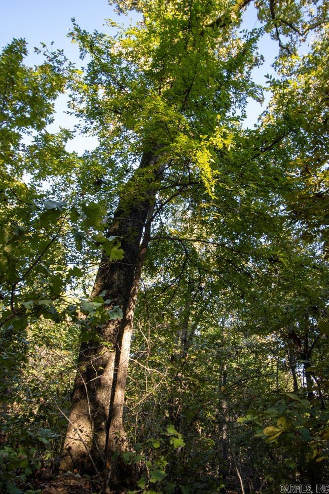 Photo 23 - Vacant Land for sale – 0000  Needle's Eye Trail   Mammoth Spring, AR