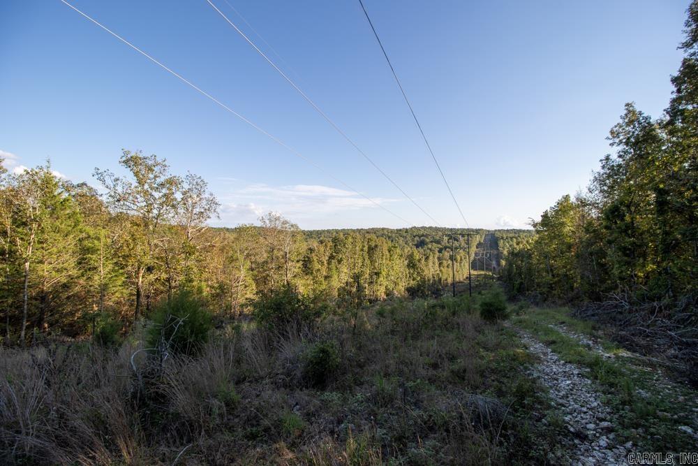 Photo 24 - Vacant Land for sale – 0000  Needle's Eye Trail   Mammoth Spring, AR