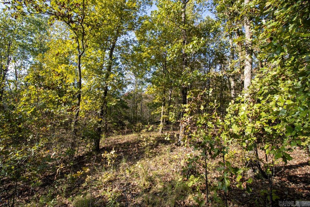 Photo 25 - Vacant Land for sale – 0000  Needle's Eye Trail   Mammoth Spring, AR