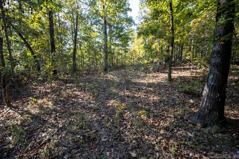 Photo 26 - Vacant Land for sale – 0000  Needle's Eye Trail   Mammoth Spring, AR