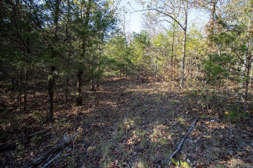 Photo 27 - Vacant Land for sale – 0000  Needle's Eye Trail   Mammoth Spring, AR