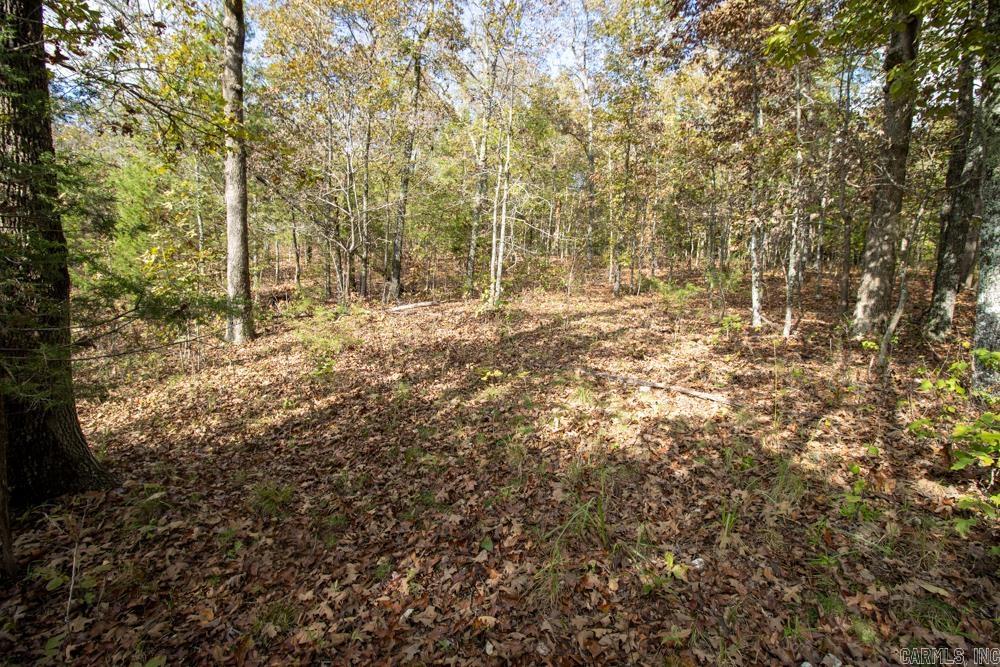 Photo 28 - Vacant Land for sale – 0000  Needle's Eye Trail   Mammoth Spring, AR