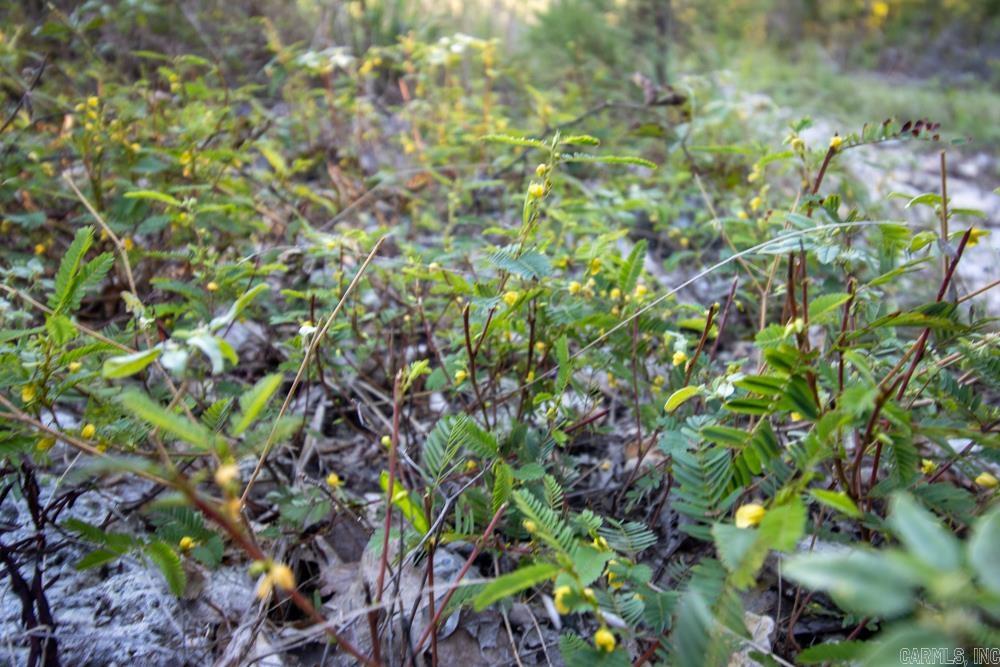 Photo 29 - Vacant Land for sale – 0000  Needle's Eye Trail   Mammoth Spring, AR