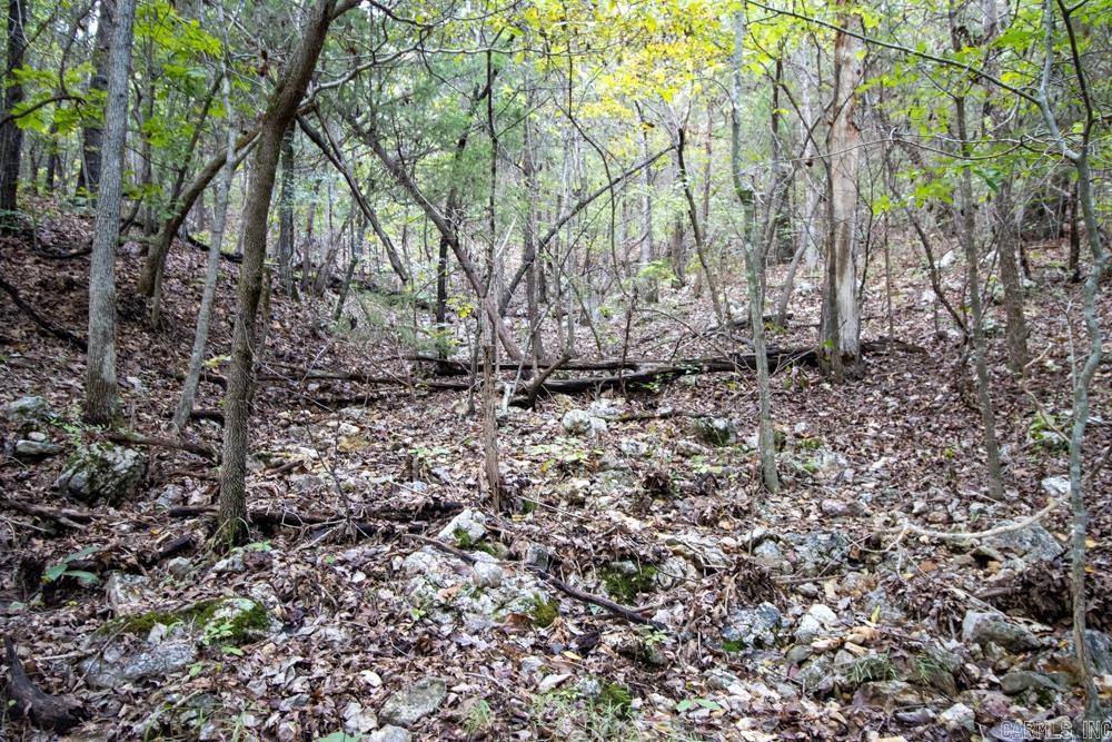 Photo 30 - Vacant Land for sale – 0000  Needle's Eye Trail   Mammoth Spring, AR