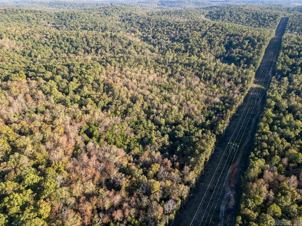 Photo 4 - Vacant Land for sale – 0000  Needle's Eye Trail   Mammoth Spring, AR