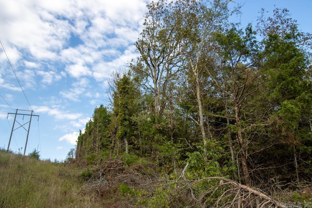 Photo 31 - Vacant Land for sale – 0000  Needle's Eye Trail   Mammoth Spring, AR