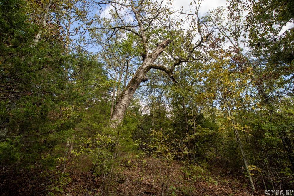 Photo 32 - Vacant Land for sale – 0000  Needle's Eye Trail   Mammoth Spring, AR