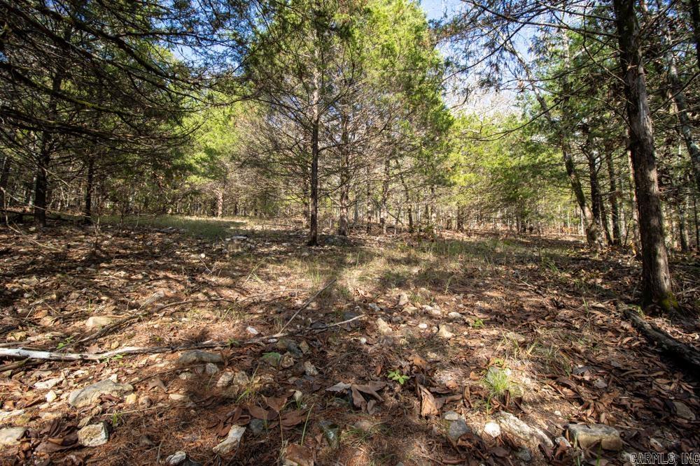 Photo 33 - Vacant Land for sale – 0000  Needle's Eye Trail   Mammoth Spring, AR