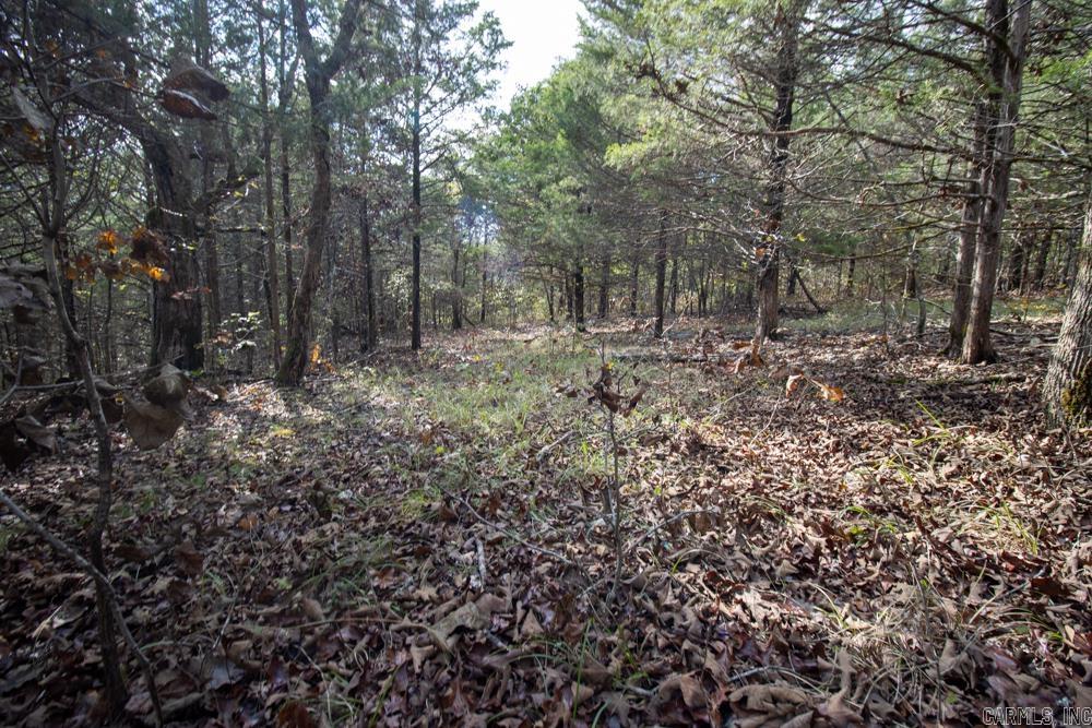 Photo 35 - Vacant Land for sale – 0000  Needle's Eye Trail   Mammoth Spring, AR