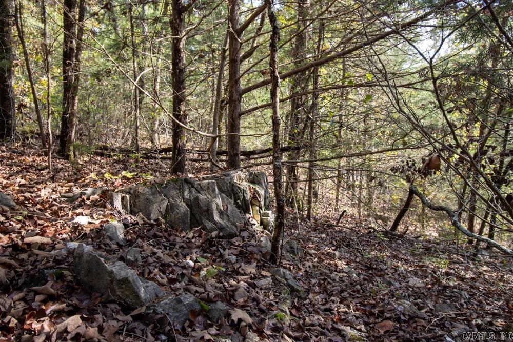 Photo 36 - Vacant Land for sale – 0000  Needle's Eye Trail   Mammoth Spring, AR