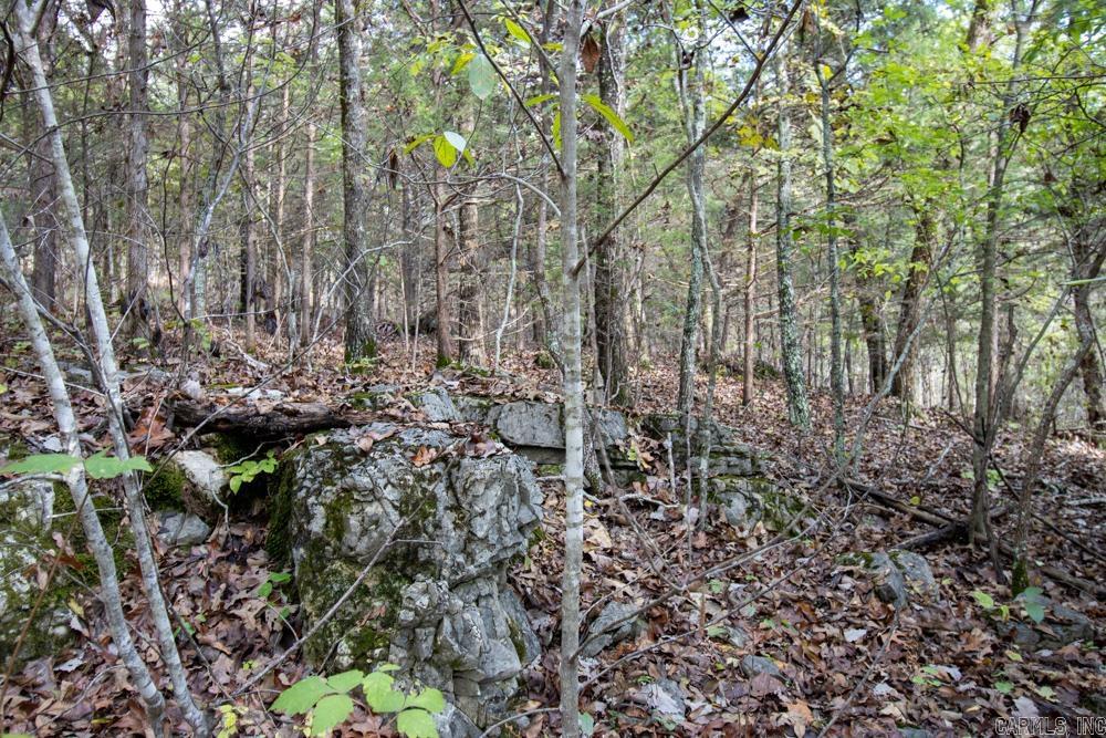 Photo 37 - Vacant Land for sale – 0000  Needle's Eye Trail   Mammoth Spring, AR