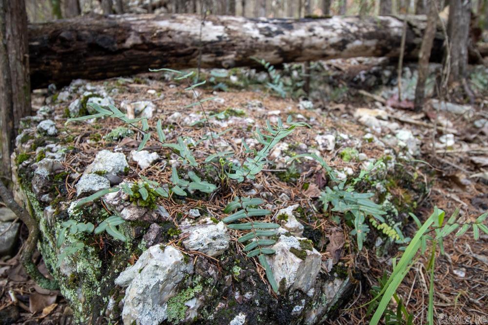 Photo 38 - Vacant Land for sale – 0000  Needle's Eye Trail   Mammoth Spring, AR