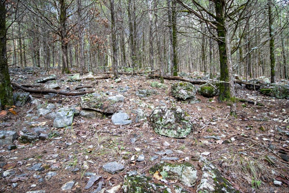 Photo 40 - Vacant Land for sale – 0000  Needle's Eye Trail   Mammoth Spring, AR
