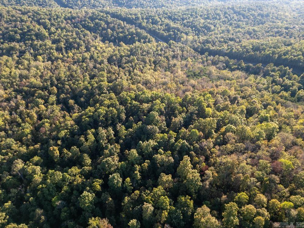 Photo 5 - Vacant Land for sale – 0000  Needle's Eye Trail   Mammoth Spring, AR