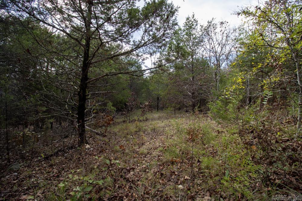 Photo 41 - Vacant Land for sale – 0000  Needle's Eye Trail   Mammoth Spring, AR