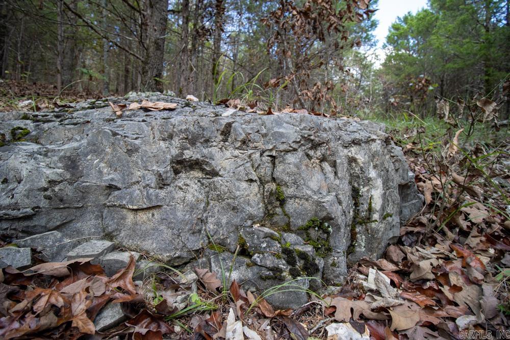 Photo 43 - Vacant Land for sale – 0000  Needle's Eye Trail   Mammoth Spring, AR