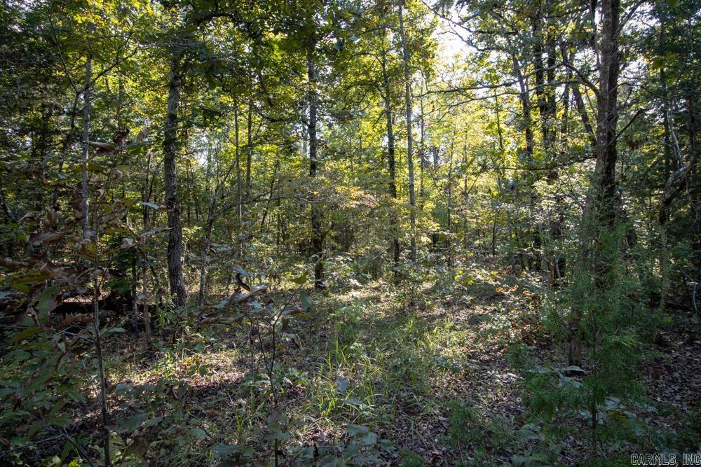 Photo 44 - Vacant Land for sale – 0000  Needle's Eye Trail   Mammoth Spring, AR