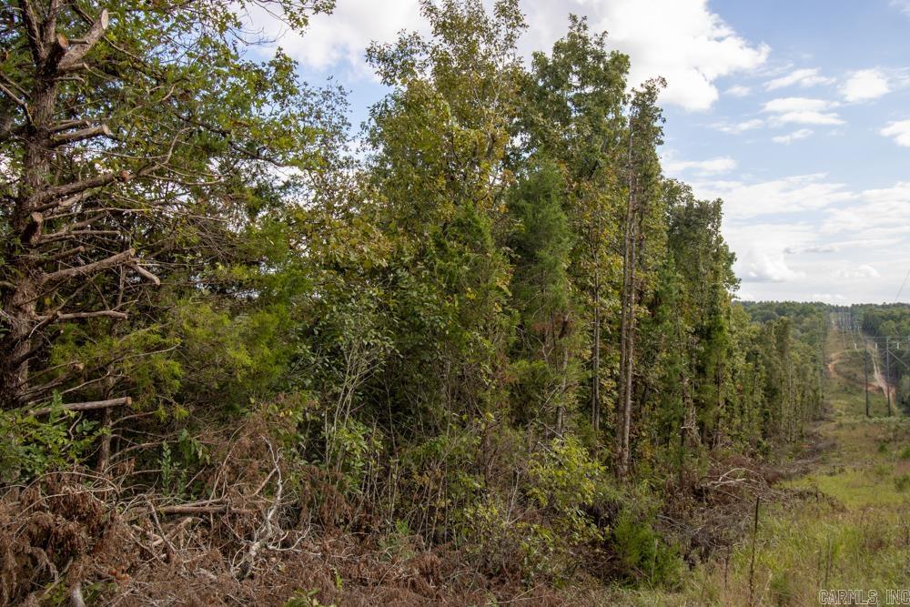 Photo 45 - Vacant Land for sale – 0000  Needle's Eye Trail   Mammoth Spring, AR