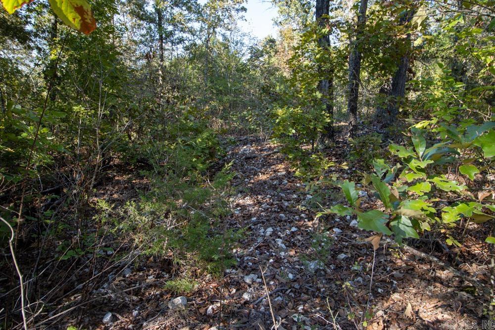 Photo 46 - Vacant Land for sale – 0000  Needle's Eye Trail   Mammoth Spring, AR