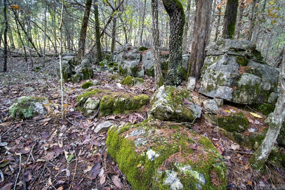 Photo 47 - Vacant Land for sale – 0000  Needle's Eye Trail   Mammoth Spring, AR