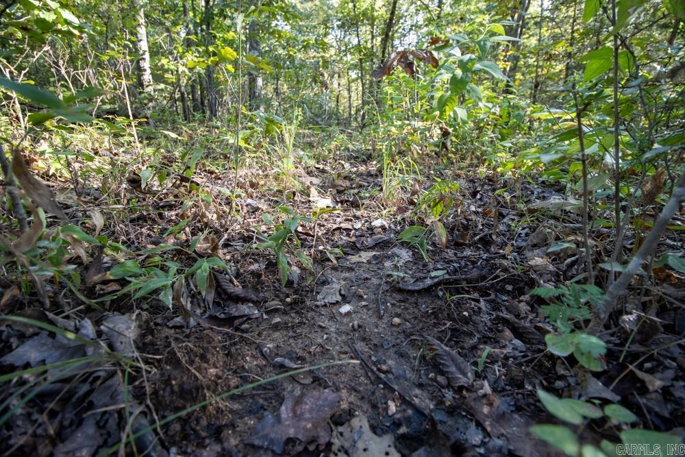 Photo 48 - Vacant Land for sale – 0000  Needle's Eye Trail   Mammoth Spring, AR
