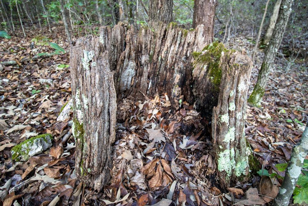 Photo 49 - Vacant Land for sale – 0000  Needle's Eye Trail   Mammoth Spring, AR