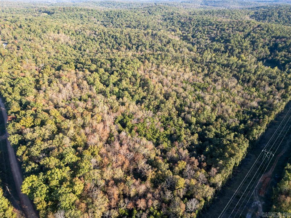 Photo 6 - Vacant Land for sale – 0000  Needle's Eye Trail   Mammoth Spring, AR