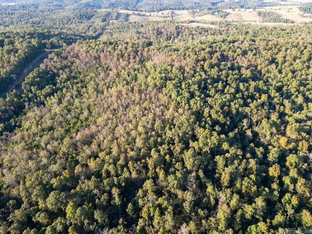 Photo 7 - Vacant Land for sale – 0000  Needle's Eye Trail   Mammoth Spring, AR