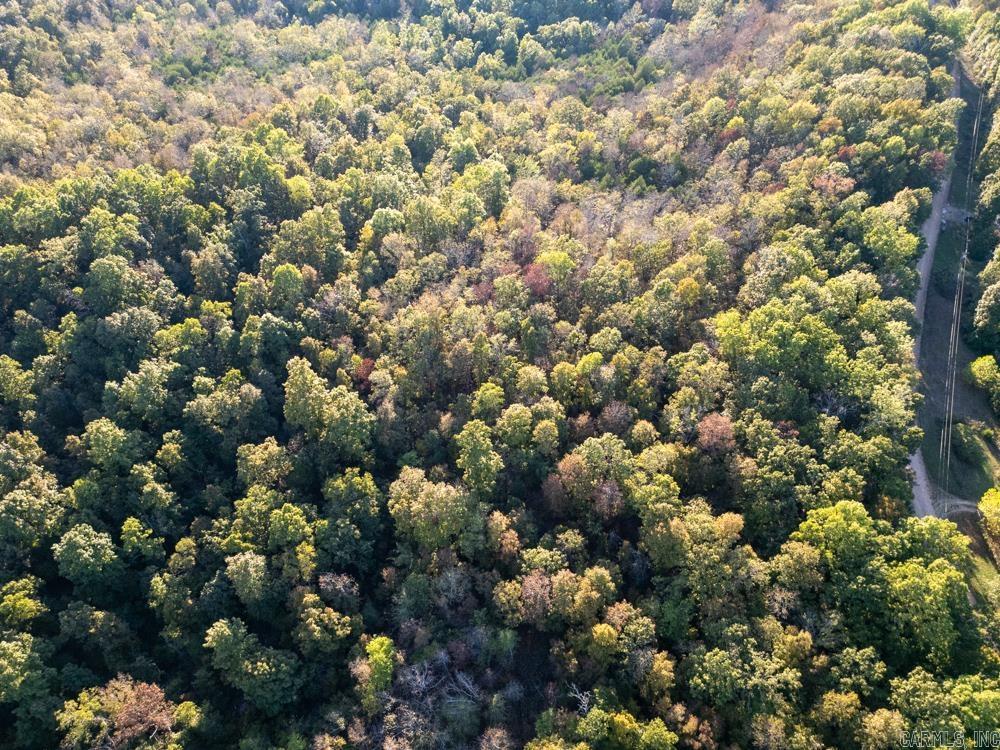 Photo 9 - Vacant Land for sale – 0000  Needle's Eye Trail   Mammoth Spring, AR