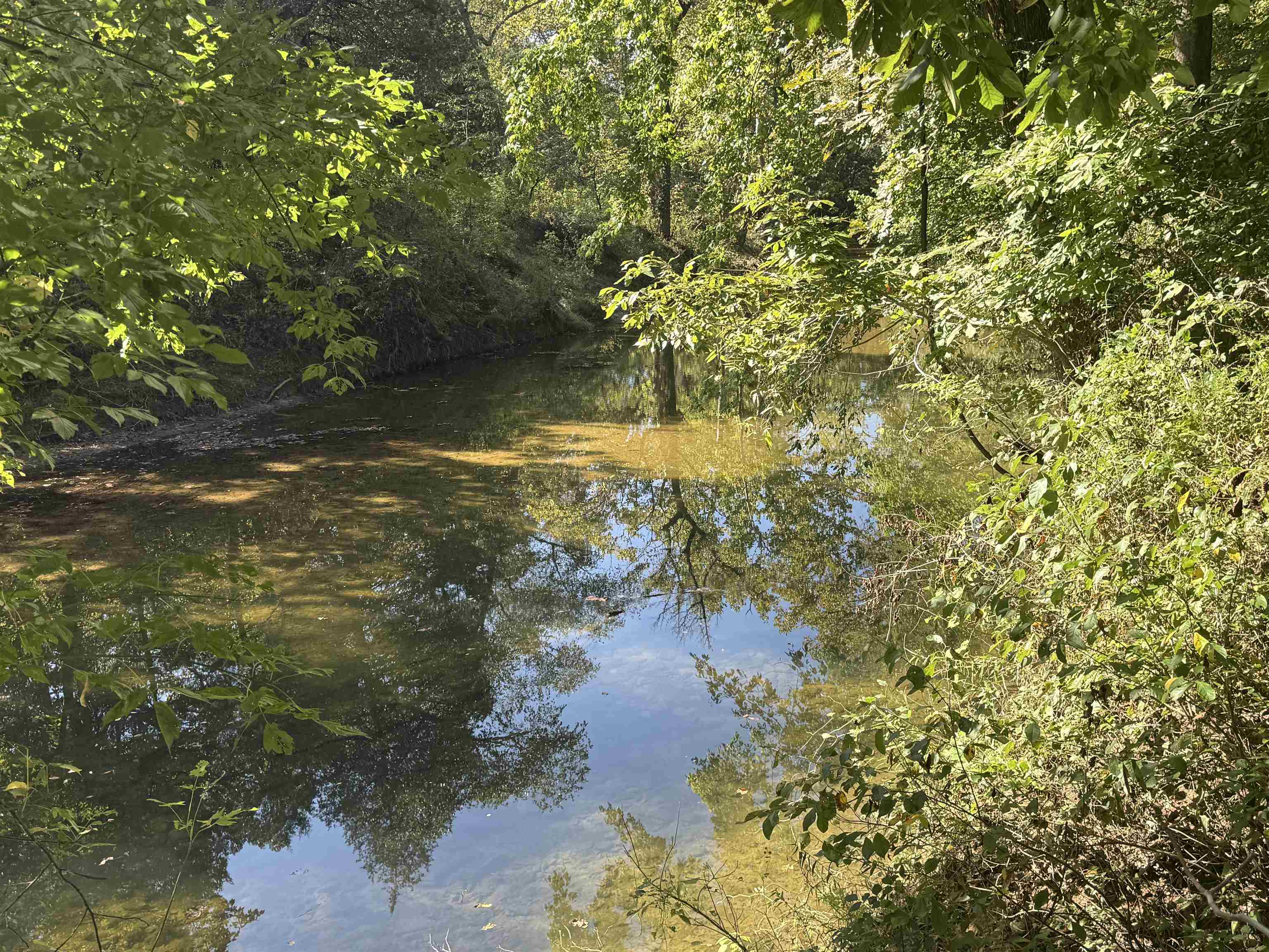 Photo 3 - Residential for sale – 217  Carpenter Road   Evening Shade, AR