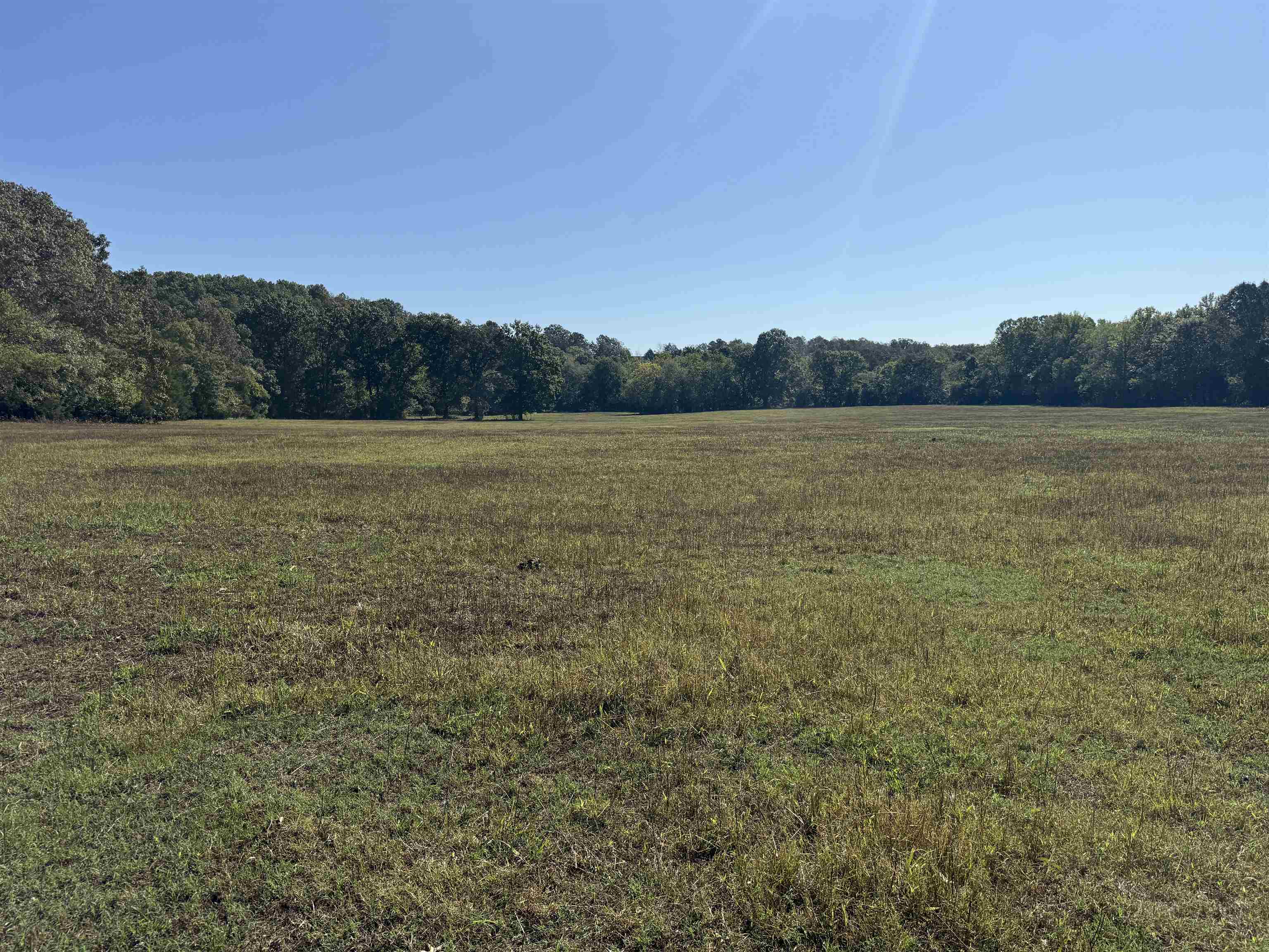Photo 23 - Residential for sale – 217  Carpenter Road   Evening Shade, AR