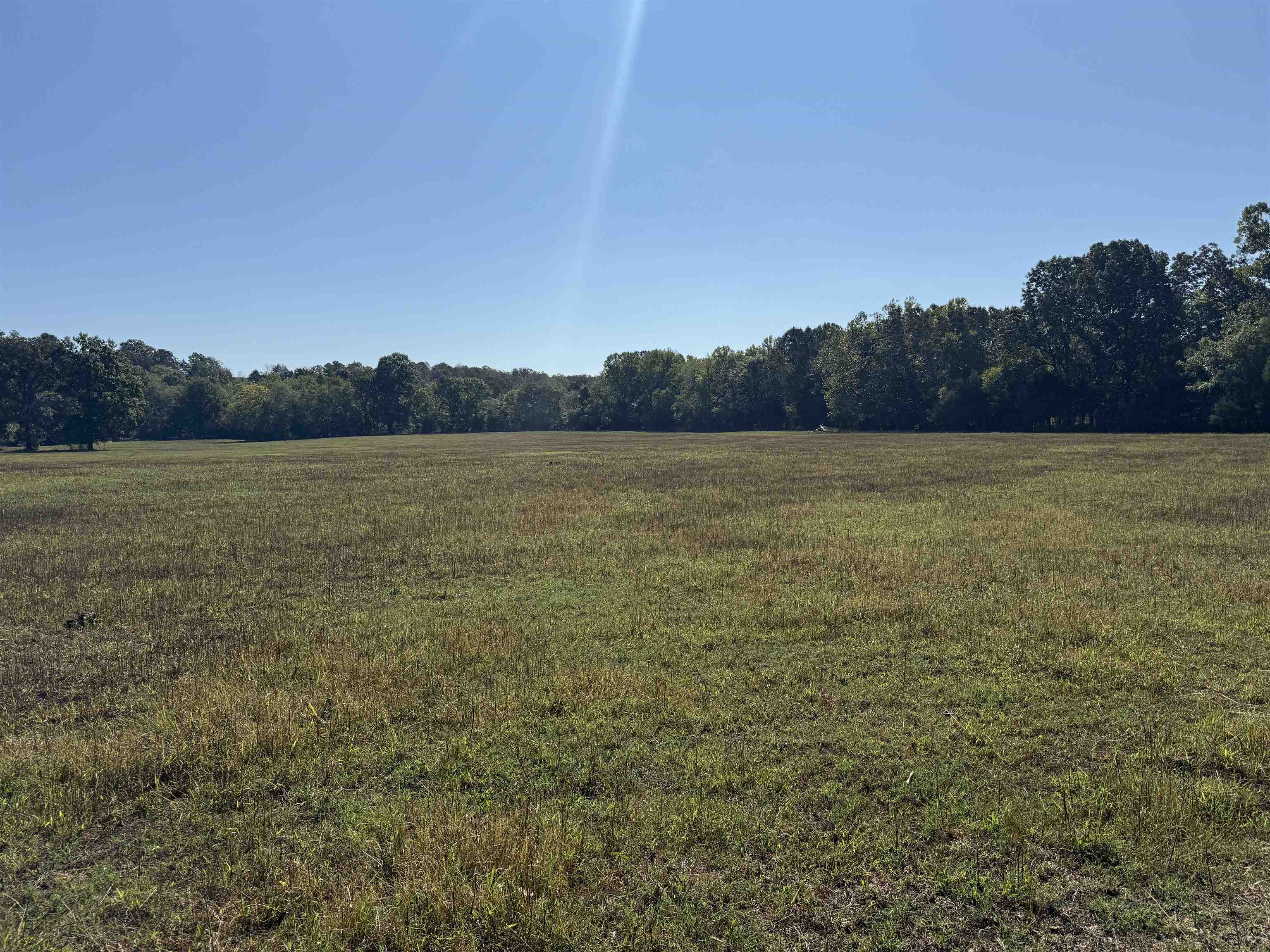 Photo 24 - Residential for sale – 217  Carpenter Road   Evening Shade, AR
